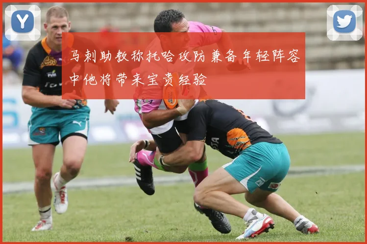 马刺助教称托哈攻防兼备年轻阵容中他将带来宝贵经验